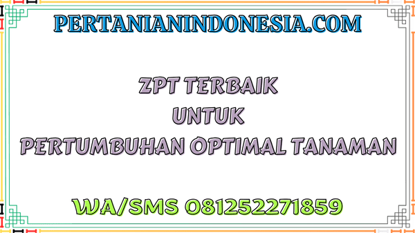 ZPT Terbaik Untuk Pertumbuhan Optimal Tanaman